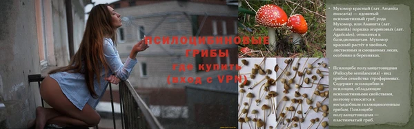 СК Волосово