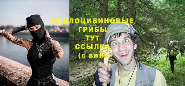 стаф Волоколамск