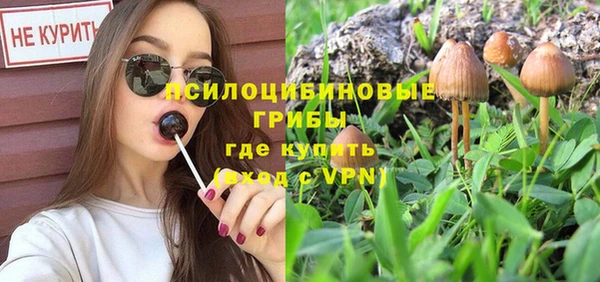 прущая мука Володарск