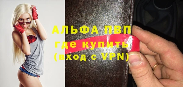 стаф Волоколамск