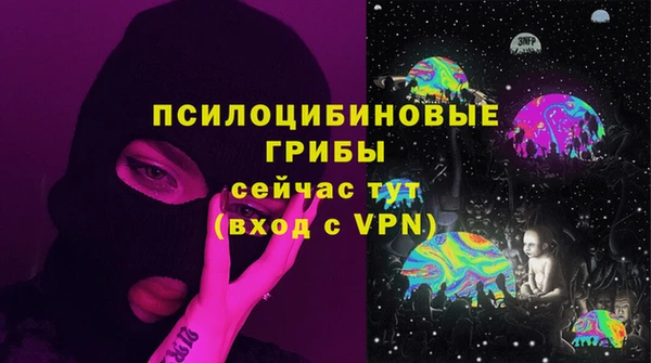 стаф Волоколамск