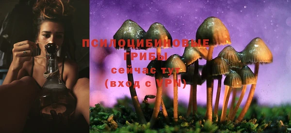 прущая мука Володарск