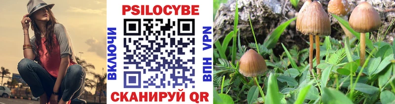 Псилоцибиновые грибы Psilocybine cubensis  Купить закладки  Балабаново 